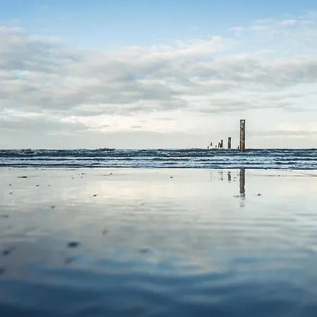 Nordstrandperle Ap O10