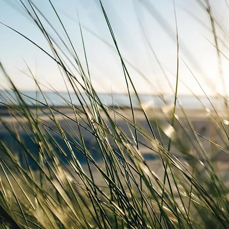 Apartament Nordstrandperle Ap O10 *